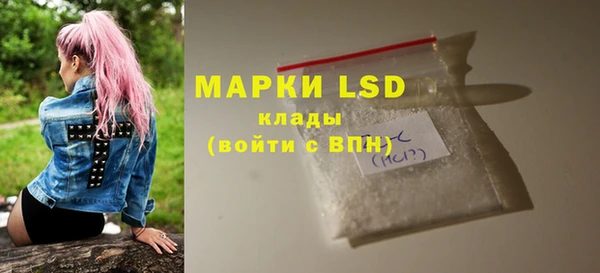 хмурый Алзамай