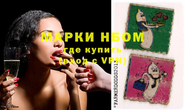 хмурый Алзамай