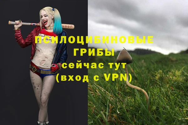 сатива Алексин