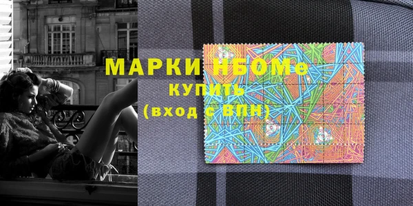 хмурый Алзамай