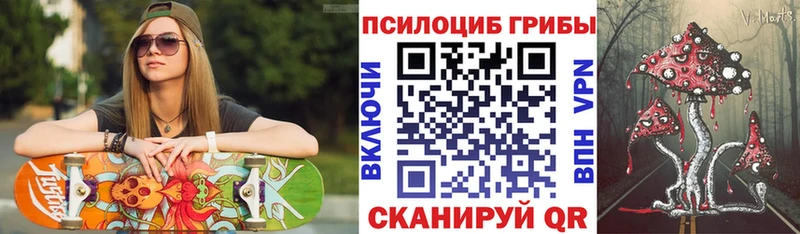 Псилоцибиновые грибы Cubensis  Новоалтайск 