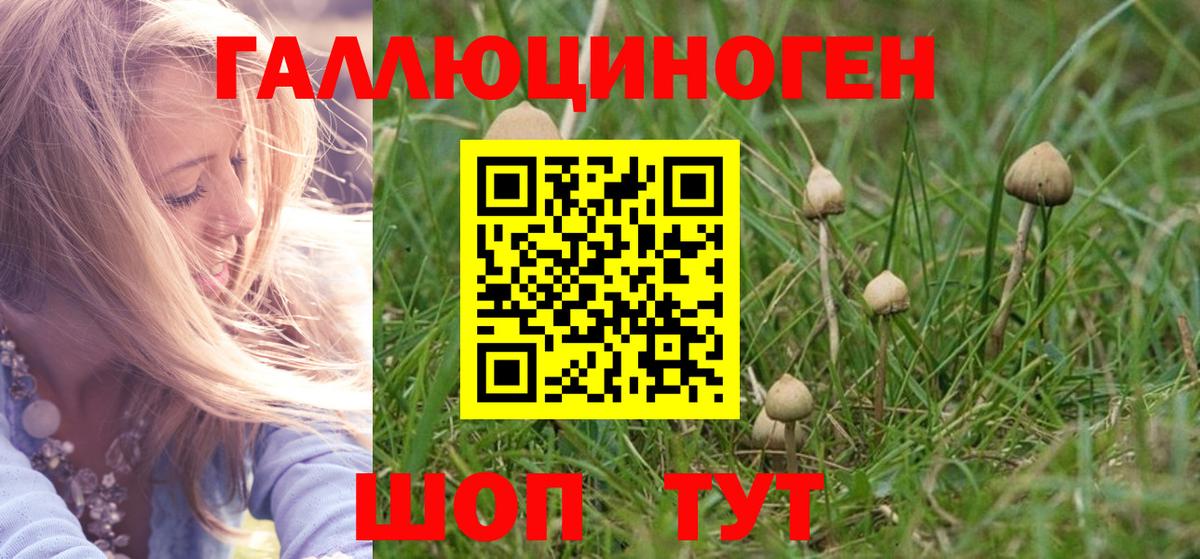 Псилоцибиновые грибы Magic Shrooms  Псилоцибиновые грибы прущие грибы  Новоалтайск  купить  сайты  Вход с VPN 
